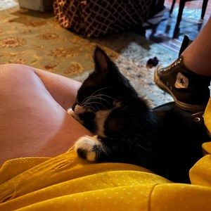 Meet your Posher, Ray